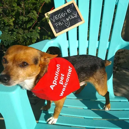 Athena,sejour Bien-etre Et Ethique Gasthof 4*