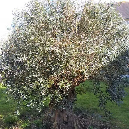 Athena,sejour Bien-etre Et Ethique