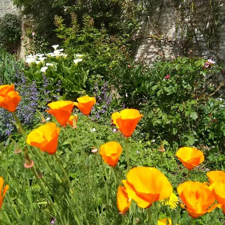 Athena,sejour Bien-etre Et Ethique Gasthof