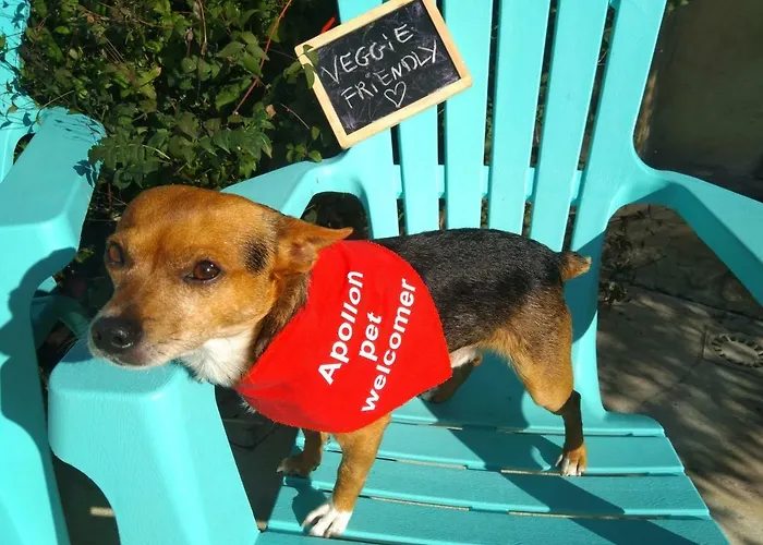 Athena,sejour Bien-etre Et Ethique بيت ضيافة 4*