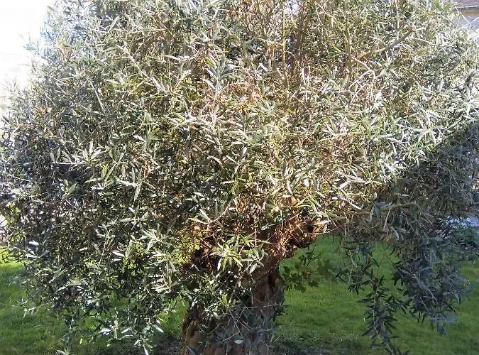 Athena,sejour Bien-etre Et Ethique