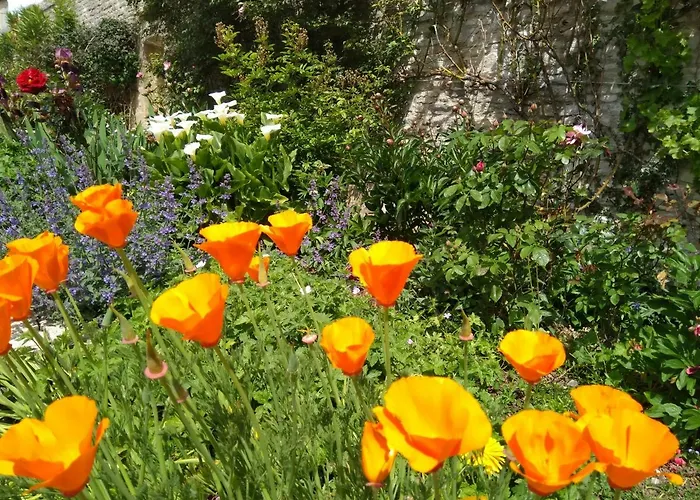 Athena,sejour Bien-etre Et Ethique بيت ضيافة